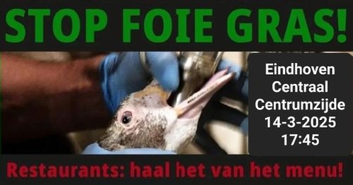 STOP FOIE GRAS

Eindhoven Centraal Centrumzijde
14-3-2025
17:45

Restaurants: haal het van het menu!