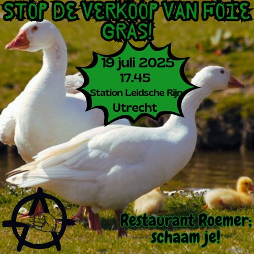 STOP DE VERKOOP VAN FOIE GRAS!!
19 juli 2025 17.45
Station Leidsche Rijn
Utrecht
Restaurant Roemer;
schaam je!