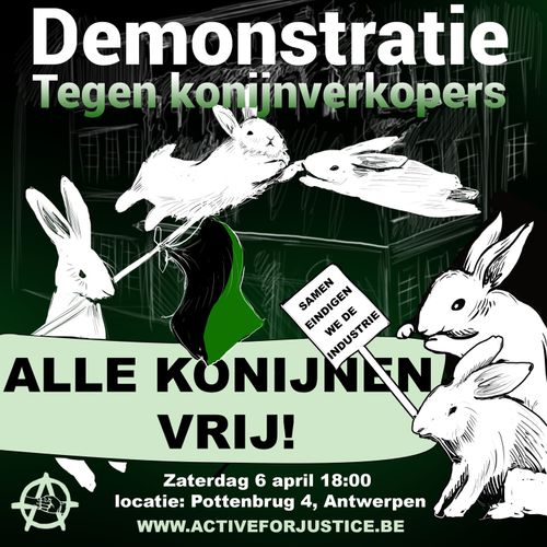 Demonstratie
Tegen konijnverkopers

ALLE KONIJNEN VRIJ!

SAMEN EINDIGEN WE DE INDUSTRIE

Zaterdag 6 april 18:00
locatie: Pottenburg 4, Antwerpen
WWW.ACTIVEFORJUSTICE.BE