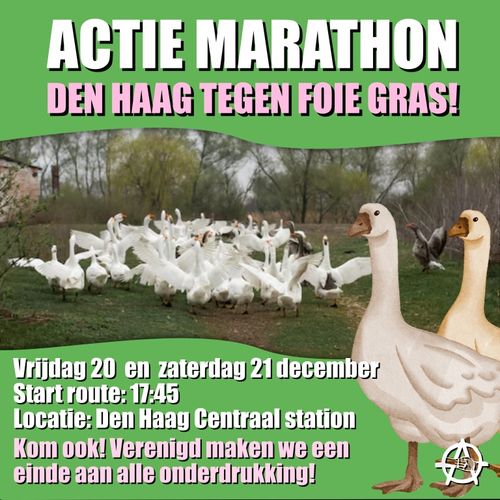 ACTIE MARATHON
DEN HAAG TEGEN FOIE GRAS!

Vrijdag 20 en zaterdag 21 december
Start route: 17:45
Locatie: Den Haag Centraal station

Kom ook! Verenigd maken we een einde aan alle onderdrukking!