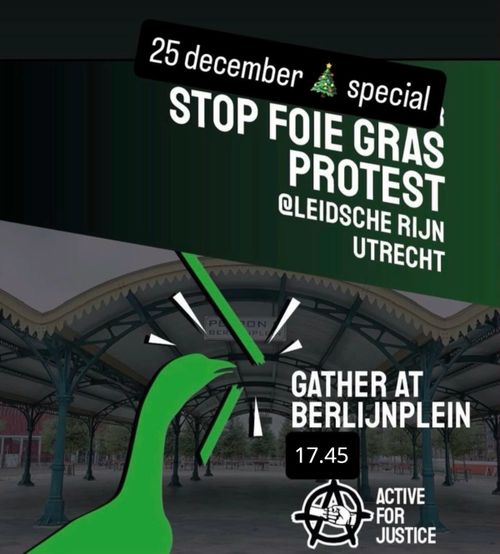 25 december special 

STOP FOIE GRAS PROTEST 
at LEIDSCHE RIJN UTRECHT 

GATHER AT BERLIJNPLEIN 18.30 

ACTIVE FOR JUSTICE
