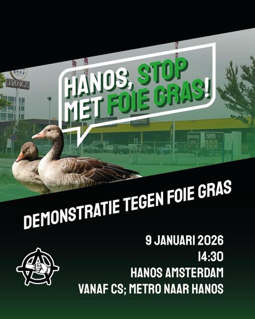 HANOS, STOP
MET FOIE CRAS!

DEMONSTRATIE TEGEN FOIE GRAS

9 JANUARI 2026
14:30
HANOS AMSTERDAM
VANAF CS; METRO NAAR HANOS