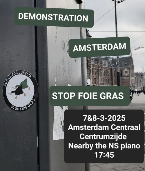 DEMONSTRATION AMSTERDAM

STOP FOIE GRAS

7&8-3-2025
Amsterdam Centraal
Centrumzijde
Nearby the NS piano 17:45

ACTIVE FOR JUSTICE