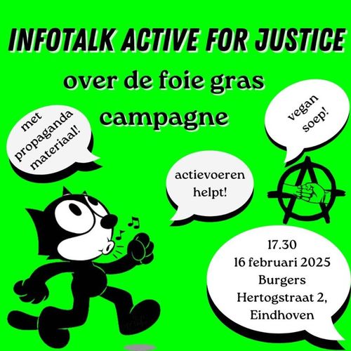 INFOTALK ACTIVE FOR JUSTICE

over de foie gras campagne

- met propaganda materiaal!
- vegan soep!
- actievoeren helpt!

17.30
16 februari 2025
Burgers
Hertogstraat 2,
Eindhoven