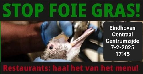 STOP FOIE GRAS!

Eindhoven Centraal Centrumzijde
7-2-2025 17:45

Restaurants: haal het van het menu!