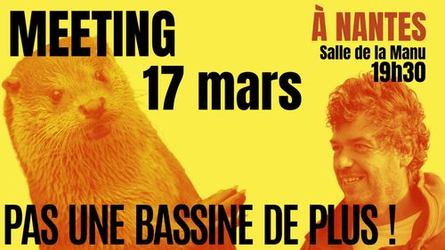 NON AUX BASSINES : réunion publique à Nantes pour préparer le 25 mars