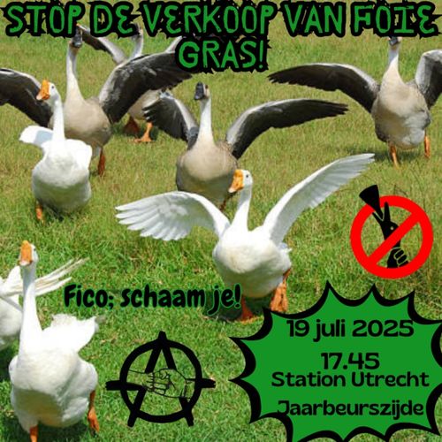 STOP DE VERKOOP VAN FOIE GRAS!

Fico: schaam je!

19 juli 2025
17.45
Station Utrecht Jaarbeurszijde