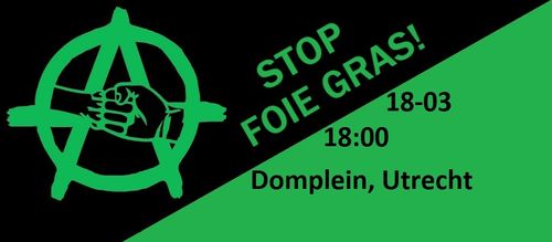 Stop foie gras!

18-03
18:00
Domplein, Utrecht