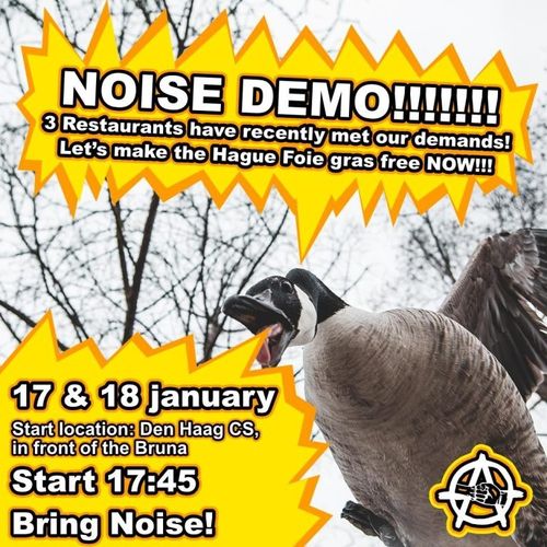 NOISE DEMO!!!!!
3 Restaurants have recently met our demands!
Let's make the Hague Foie gras free NOW!!!

17 and 18 january

Start location: Den Haag CS,
in front of the Bruna

Start 17:45
Bring Noise!