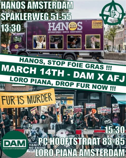 HANOS AMSTERDAM
SPAKLERWEG 51-55
13:30

HANOS, STOP FOIE GRAS !!!
MARCH 14TH - DAM X AFJ
LORO PIANA, DROP FUR NOW !!!

AFJ (Active for justice)
DAM (DUTCH ANTI-FUR MOVEMENT)