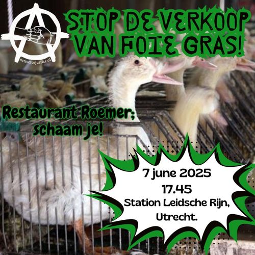 STOP DE VERKOOP VAN FOIE GRAS

Restaurant Roemer;
schaam je!

7 juni 2025
17:45
Station Leidsche Rijn,
Utrecht.
