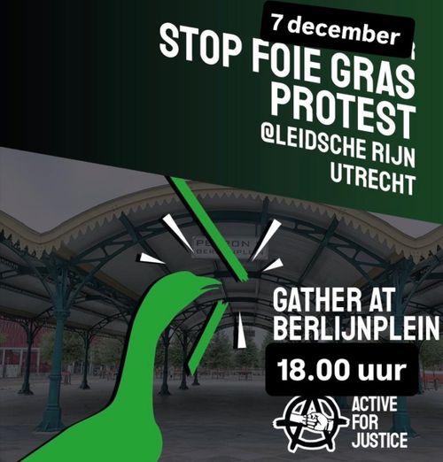 7 december
STOP FOIE GRAS
PROTEST
at LEIDSCHE RIJN UTRECHT

GATHER AT BERLIJNPLEIN
18.00 uur

ACTIVE FOR JUSTICE