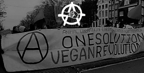 Zwart-witfoto van een demonstratie met als banner. Bovenaan staat het logo van Active For Justice.

De banner:

(anarchisme-logo) ANIMAL LIBERATION * EARTH LIBERATION * HUMAN LIBERATION

ONE SOLUTION
VEGAN REVOLUTION