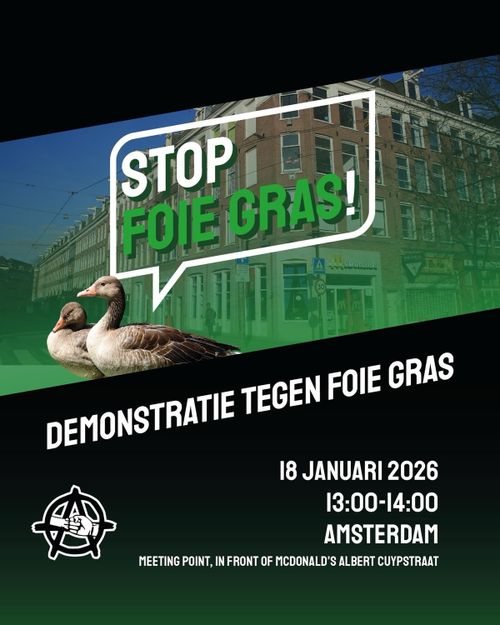 STOP FOIE CRAS!

DEMONSTRATIE TEGEN FOIE GRAS

18 JANUARI 2026
13:00-14:00
AMSTERDAM

MEETING POINT, IN FRONT OF MCDONALD'S ALBERT CUYPSTRAAT